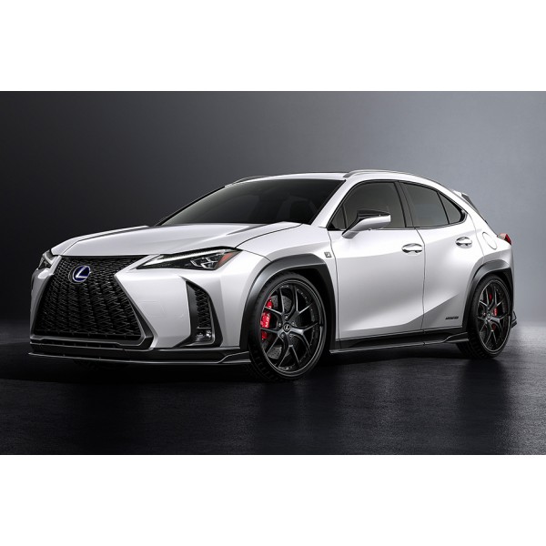 Lexus UX F-Sport - 3 dílný set spoilerů od AIMGAIN