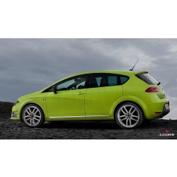 Nerez + ABS lišty dveří Seat Leon 1P