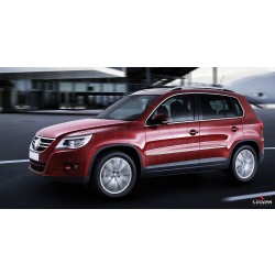 Nerez + ABS lišty dveří Volkswagen Tiguan I