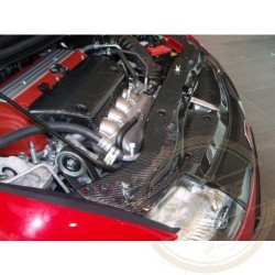Honda Civic (06-10  3dv.Type R ) Karbonový kryt motoru