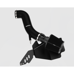 Ford Fiesta Mk6 / Mk7 1.6 ST 2013-2017 - Sportovní kit sání Proram